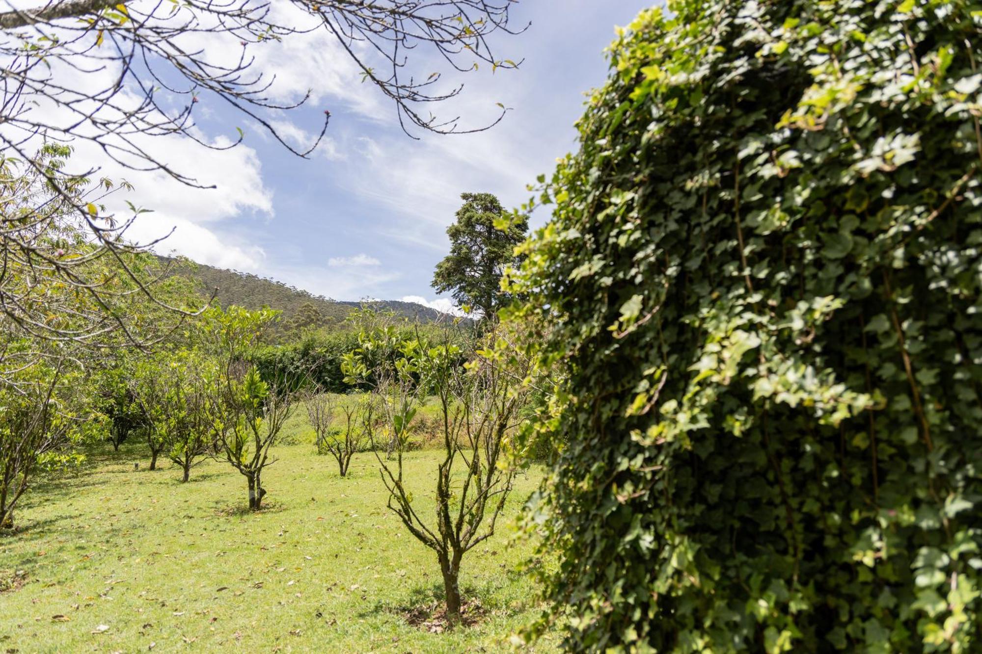 Ferncliff Bungalow Nuwara Eliya Ngoại thất bức ảnh